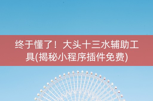终于懂了！大头十三水辅助工具(揭秘小程序插件免费)