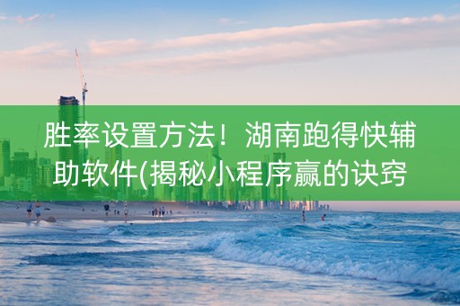 胜率设置方法！湖南跑得快辅助软件(揭秘小程序赢的诀窍)