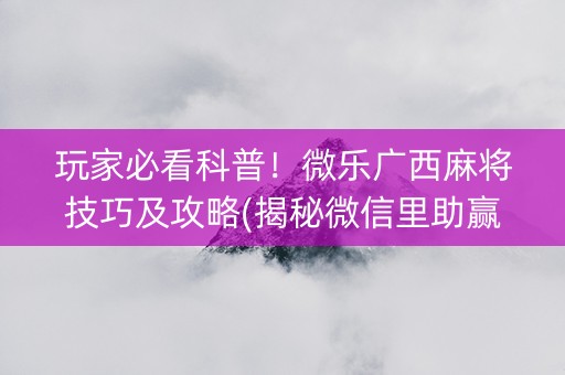 玩家必看科普！微乐广西麻将技巧及攻略(揭秘微信里助赢软件)