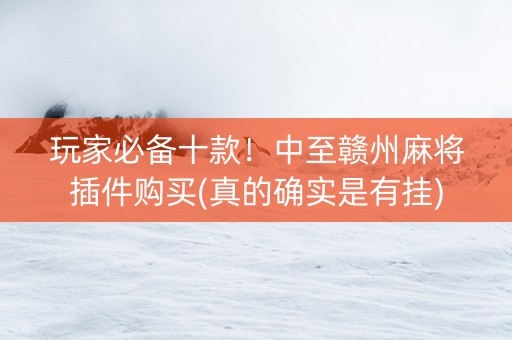 玩家必备十款！中至赣州麻将插件购买(真的确实是有挂)