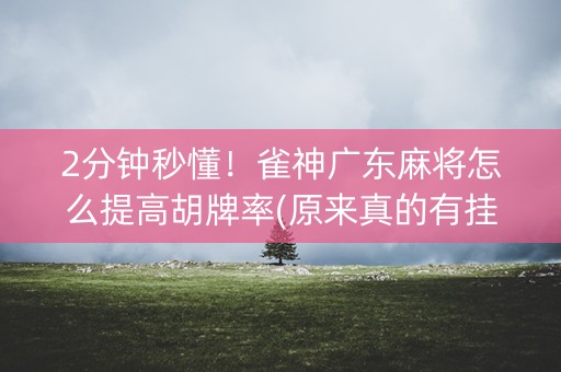 2分钟秒懂！雀神广东麻将怎么提高胡牌率(原来真的有挂)