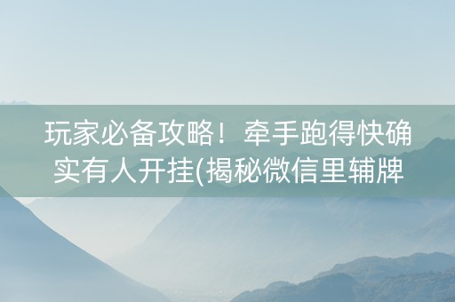 玩家必备攻略！牵手跑得快确实有人开挂(揭秘微信里辅牌器)