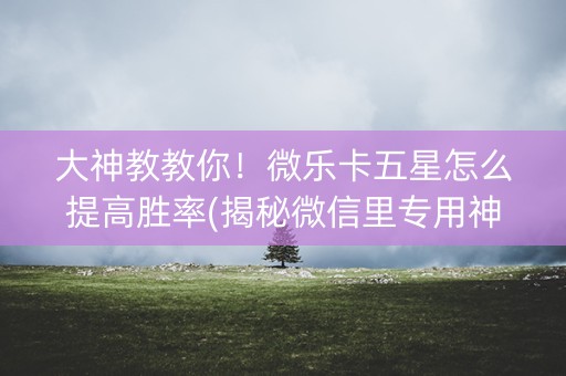 大神教教你！微乐卡五星怎么提高胜率(揭秘微信里专用神器下载)