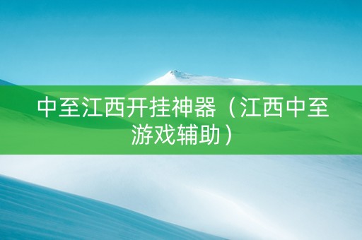 中至江西开挂神器（江西中至游戏辅助）