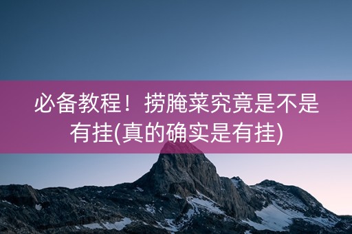 必备教程！捞腌菜究竟是不是有挂(真的确实是有挂)
