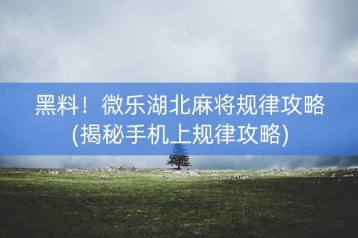 黑料！微乐湖北麻将规律攻略(揭秘手机上规律攻略)