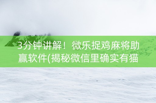3分钟讲解！微乐捉鸡麻将助赢软件(揭秘微信里确实有猫腻)