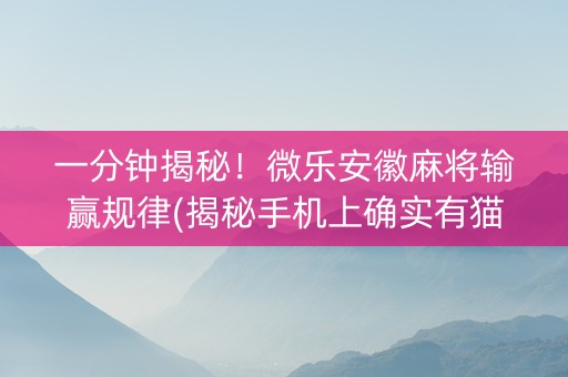 一分钟揭秘！微乐安徽麻将输赢规律(揭秘手机上确实有猫腻)