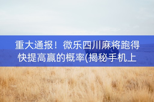重大通报！微乐四川麻将跑得快提高赢的概率(揭秘手机上插件购买)