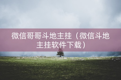 微信哥哥斗地主挂（微信斗地主挂软件下载）