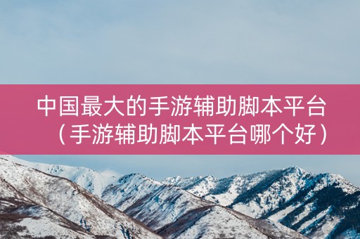 中国最大的手游辅助脚本平台（手游辅助脚本平台哪个好）