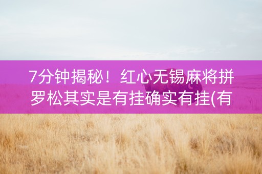 7分钟揭秘！红心无锡麻将拼罗松其实是有挂确实有挂(有挂技巧辅助器)