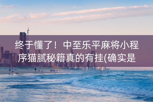 终于懂了！中至乐平麻将小程序猫腻秘籍真的有挂(确实是有挂的)