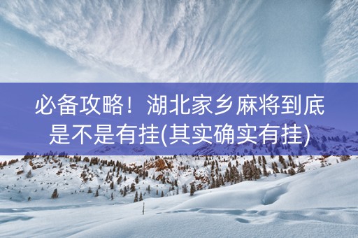 必备攻略！湖北家乡麻将到底是不是有挂(其实确实有挂)