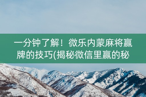 一分钟了解！微乐内蒙麻将赢牌的技巧(揭秘微信里赢的秘诀)