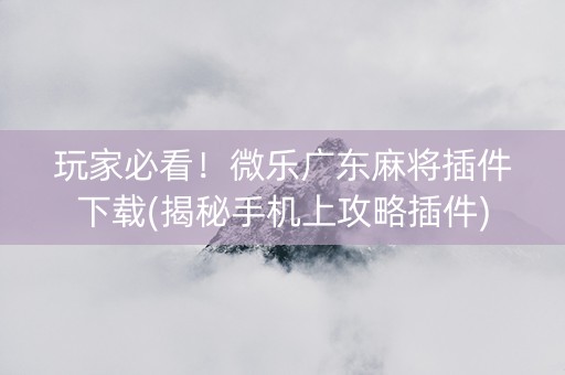 玩家必看！微乐广东麻将插件下载(揭秘手机上攻略插件)