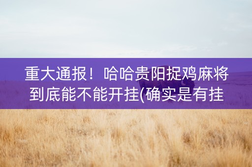重大通报！哈哈贵阳捉鸡麻将到底能不能开挂(确实是有挂的)