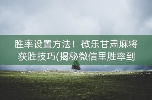胜率设置方法！微乐甘肃麻将获胜技巧(揭秘微信里胜率到哪调)