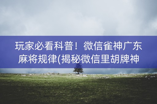 玩家必看科普！微信雀神广东麻将规律(揭秘微信里胡牌神器)
