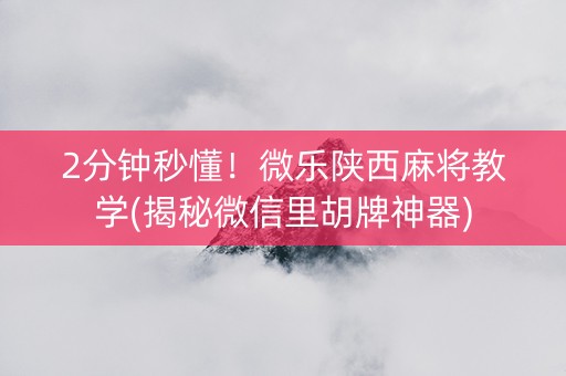 2分钟秒懂！微乐陕西麻将教学(揭秘微信里胡牌神器)