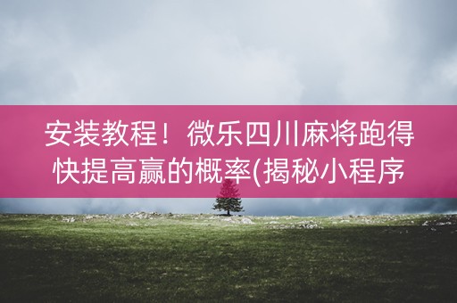 安装教程！微乐四川麻将跑得快提高赢的概率(揭秘小程序规律攻略)