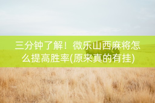 三分钟了解！微乐山西麻将怎么提高胜率(原来真的有挂)