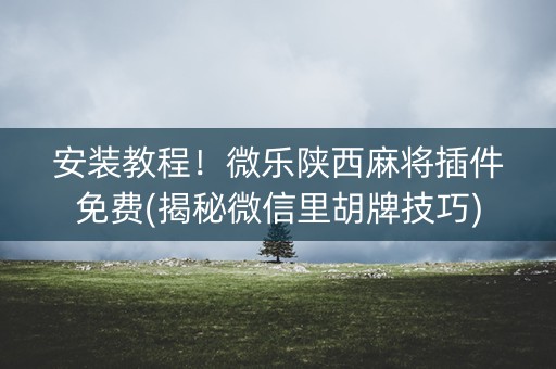 安装教程！微乐陕西麻将插件免费(揭秘微信里胡牌技巧)