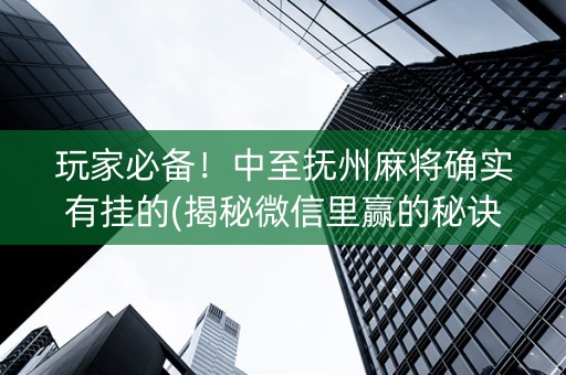 玩家必备！中至抚州麻将确实有挂的(揭秘微信里赢的秘诀)