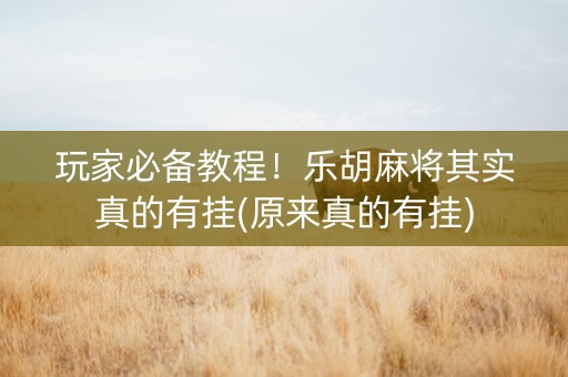 玩家必备教程！乐胡麻将其实真的有挂(原来真的有挂)