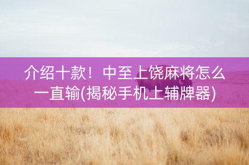 介绍十款！中至上饶麻将怎么一直输(揭秘手机上辅牌器)