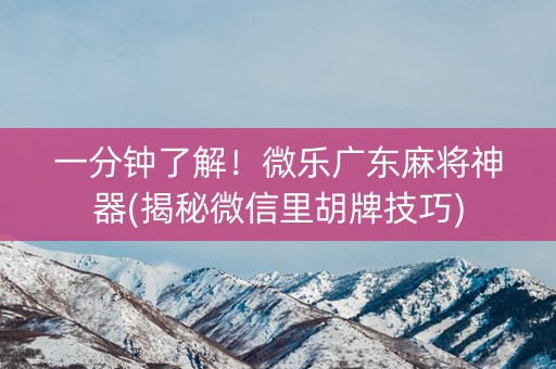 一分钟了解！微乐广东麻将神器(揭秘微信里胡牌技巧)