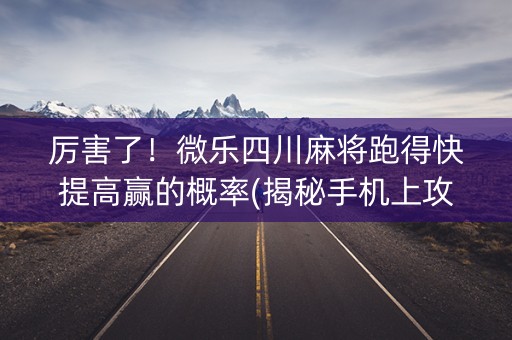 厉害了！微乐四川麻将跑得快提高赢的概率(揭秘手机上攻略插件)