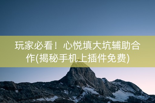 玩家必看！心悦填大坑辅助合作(揭秘手机上插件免费)
