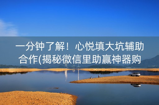 一分钟了解！心悦填大坑辅助合作(揭秘微信里助赢神器购买)