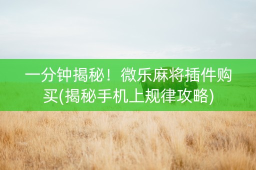 一分钟揭秘！微乐麻将插件购买(揭秘手机上规律攻略)