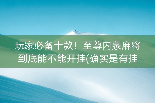 玩家必备十款！至尊内蒙麻将到底能不能开挂(确实是有挂的)