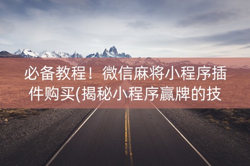 必备教程！微信麻将小程序插件购买(揭秘小程序赢牌的技巧)