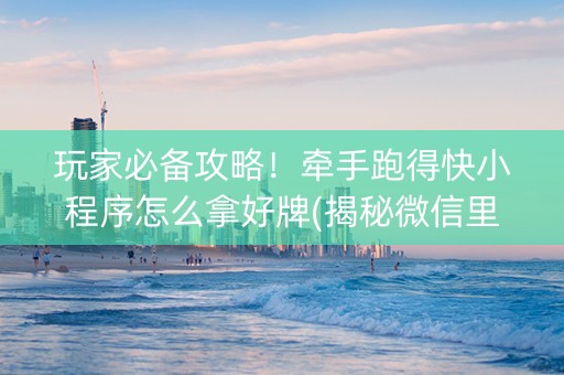 玩家必备攻略！牵手跑得快小程序怎么拿好牌(揭秘微信里胡牌神器)