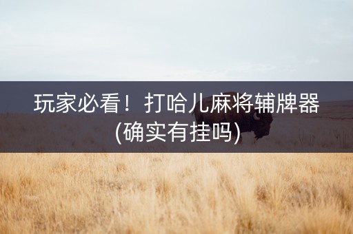 玩家必看！打哈儿麻将辅牌器(确实有挂吗)