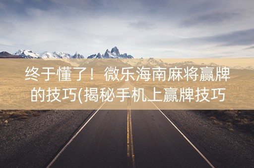 终于懂了！微乐海南麻将赢牌的技巧(揭秘手机上赢牌技巧)