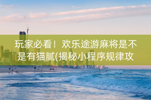 玩家必看！欢乐途游麻将是不是有猫腻(揭秘小程序规律攻略)