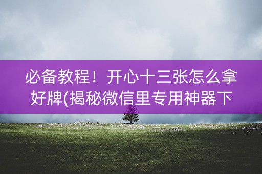必备教程！开心十三张怎么拿好牌(揭秘微信里专用神器下载)