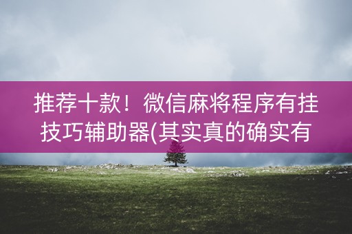 推荐十款！微信麻将程序有挂技巧辅助器(其实真的确实有挂)
