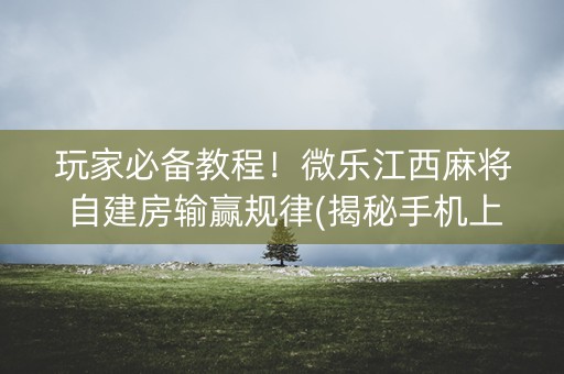 玩家必备教程！微乐江西麻将自建房输赢规律(揭秘手机上插件购买)