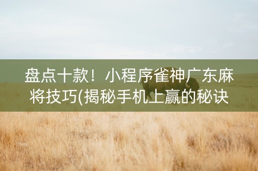 盘点十款！小程序雀神广东麻将技巧(揭秘手机上赢的秘诀)