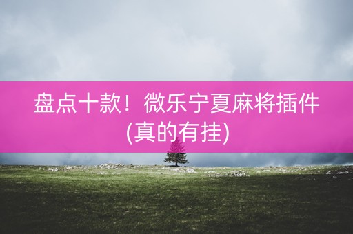 盘点十款！微乐宁夏麻将插件(真的有挂)