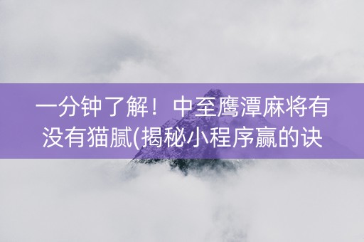 一分钟了解！中至鹰潭麻将有没有猫腻(揭秘小程序赢的诀窍)