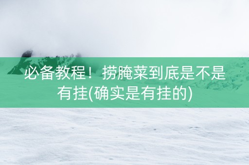 必备教程！捞腌菜到底是不是有挂(确实是有挂的)
