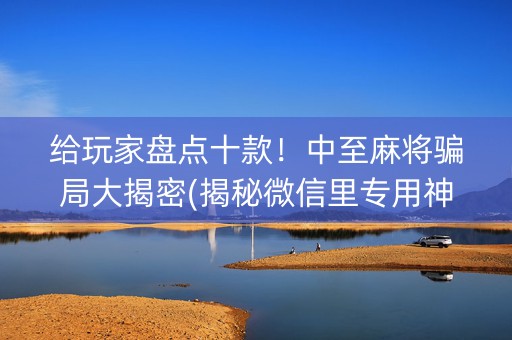 给玩家盘点十款！中至麻将骗局大揭密(揭秘微信里专用神器下载)