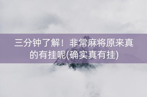 三分钟了解！非常麻将原来真的有挂呢(确实真有挂)